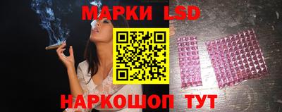 гашик Можга