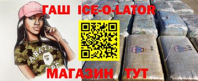 гашик Можга