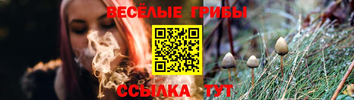 Псилоцибиновые грибы Psilocybine cubensis  Вход с VPN  Хабаровск  Галлюциногенные грибы Cubensis 