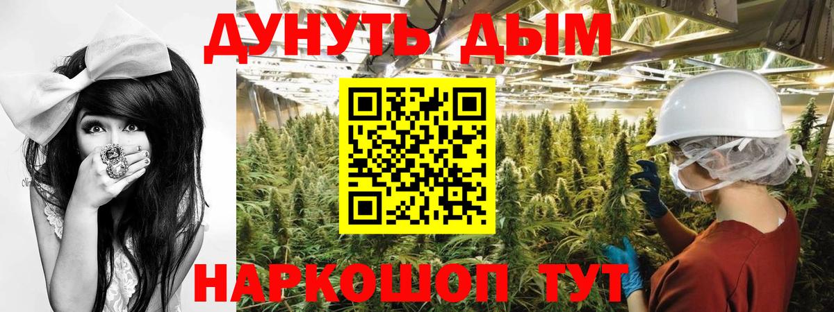 Бошки марихуана MAZAR  Бошки марихуана семена  Бошки Шишки гибрид  Вход с VPN  Хабаровск  Бошки Шишки семена 